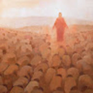 Meet your Posher, Christian